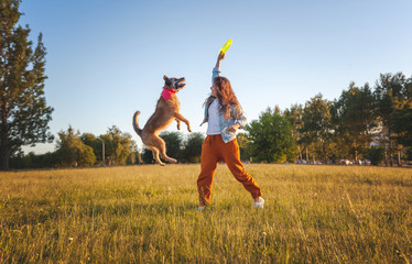 Chien sur parcours