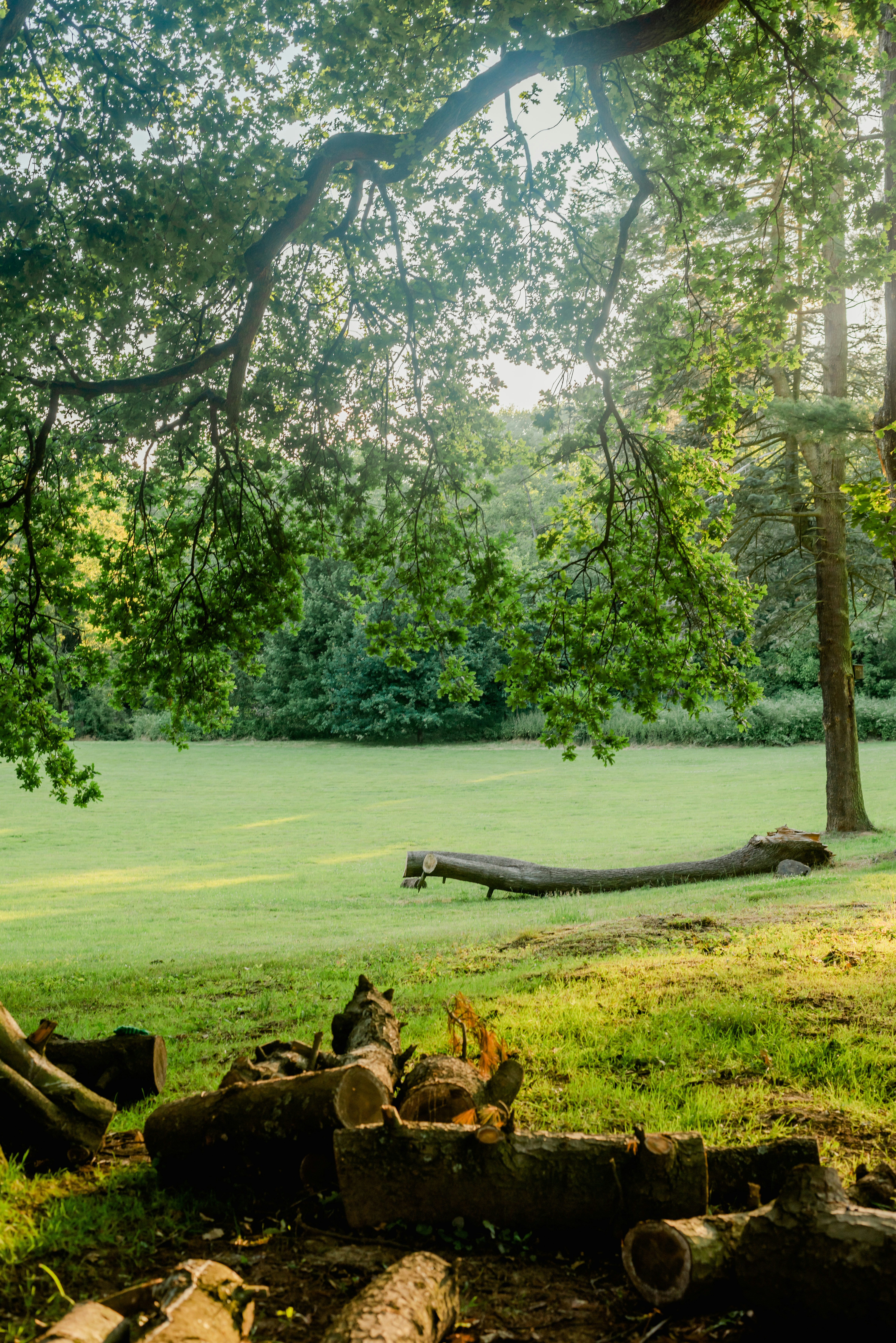 Parc