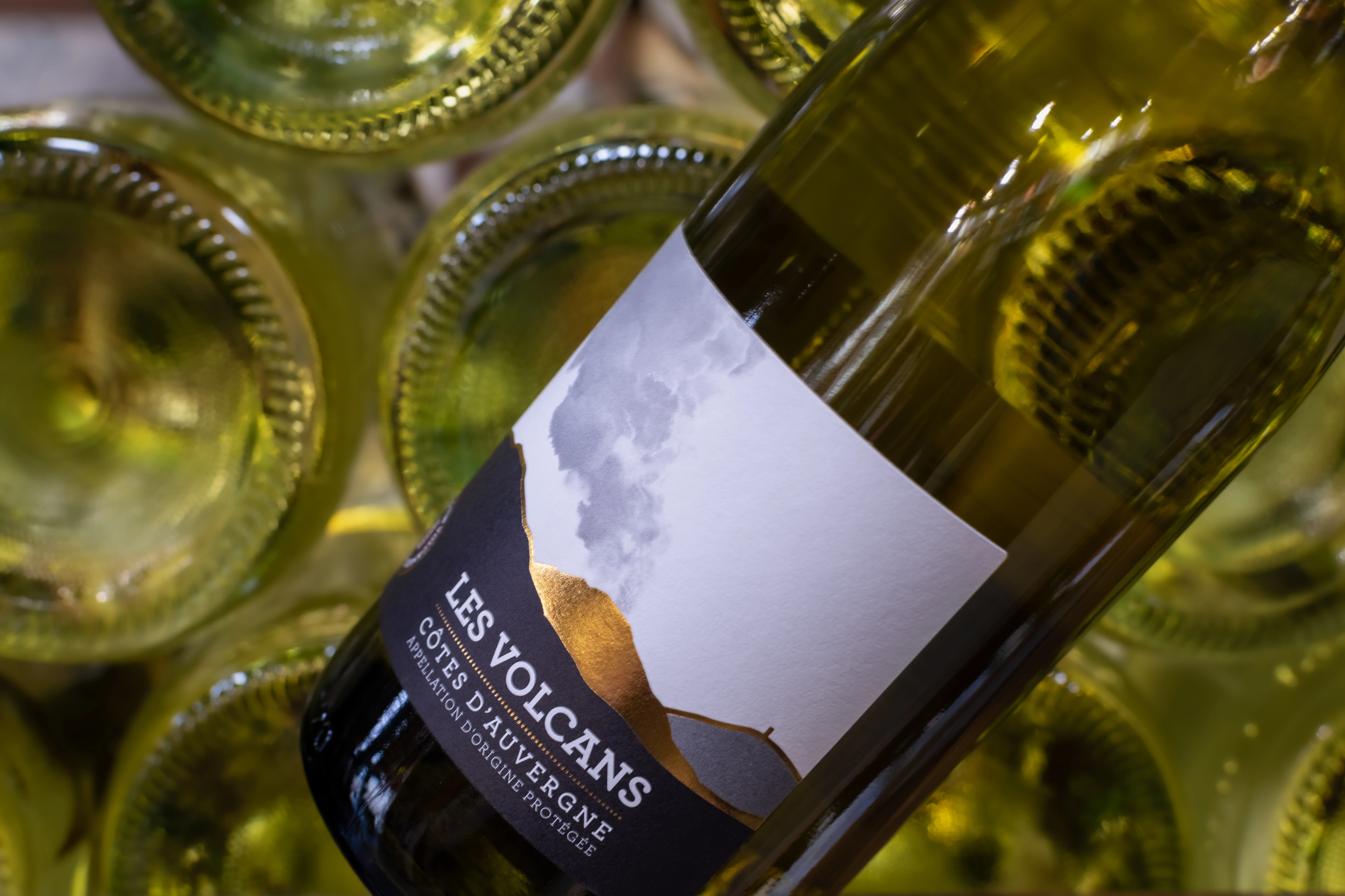 Vins des volcans, Côtes d'Auvergne et sélection du Massif central