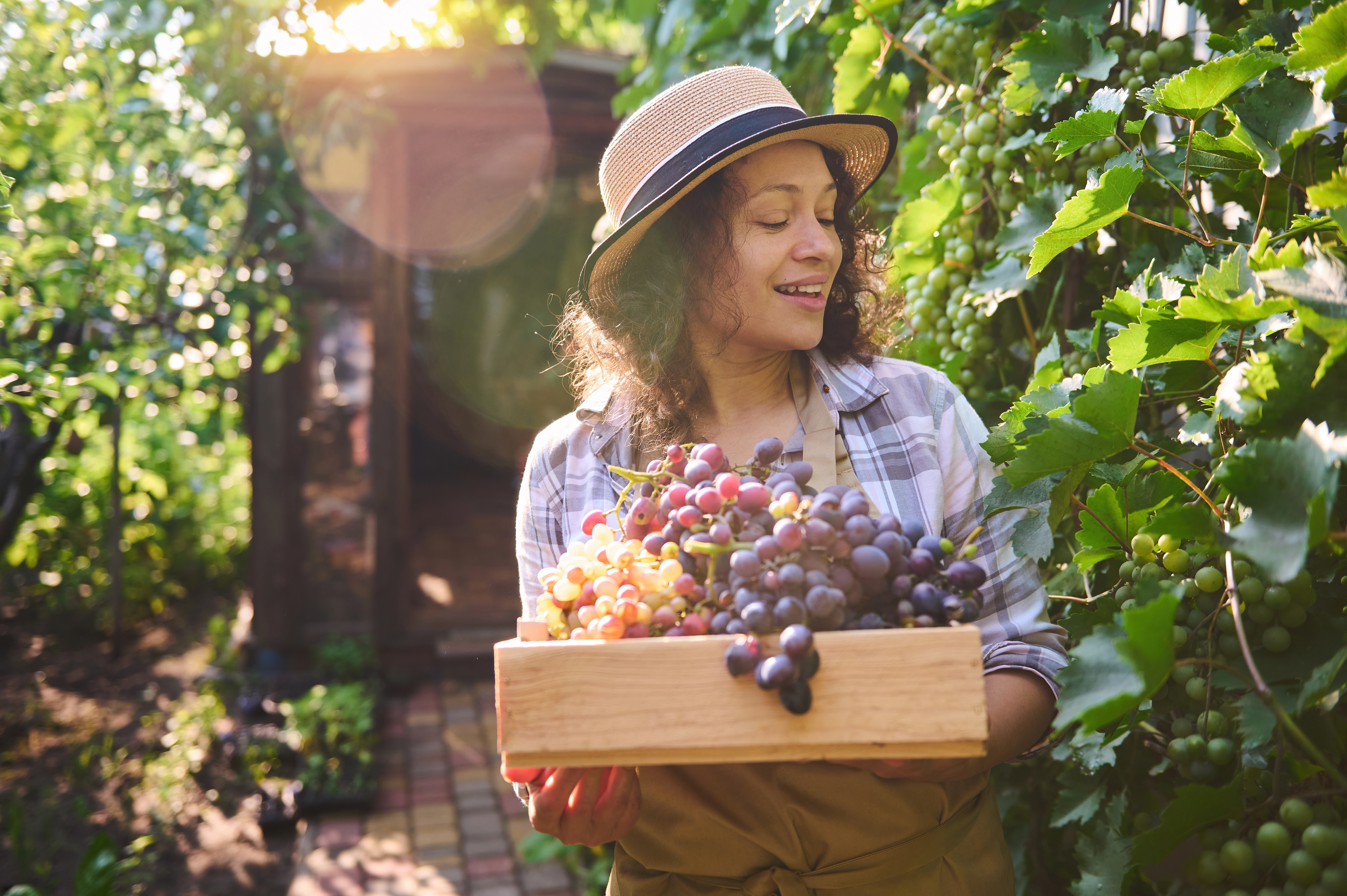 Vigneronne partenaire, vins du Massif central et Côtes d'Auvergne