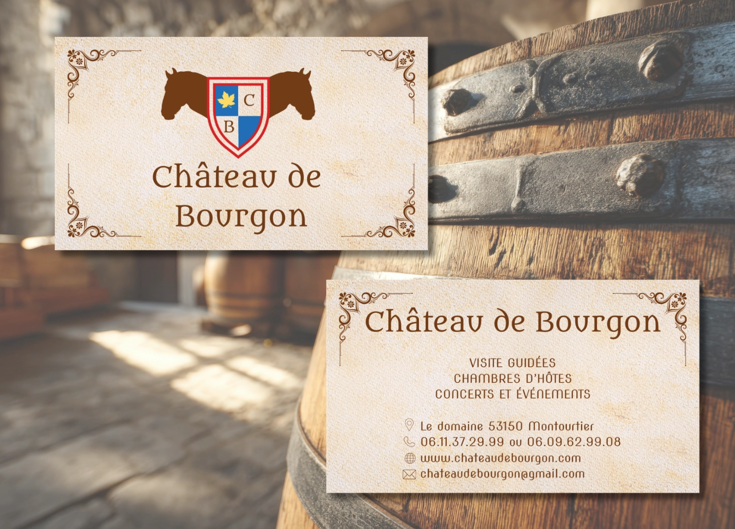 Visuel supplémentaire Château de Bourgon