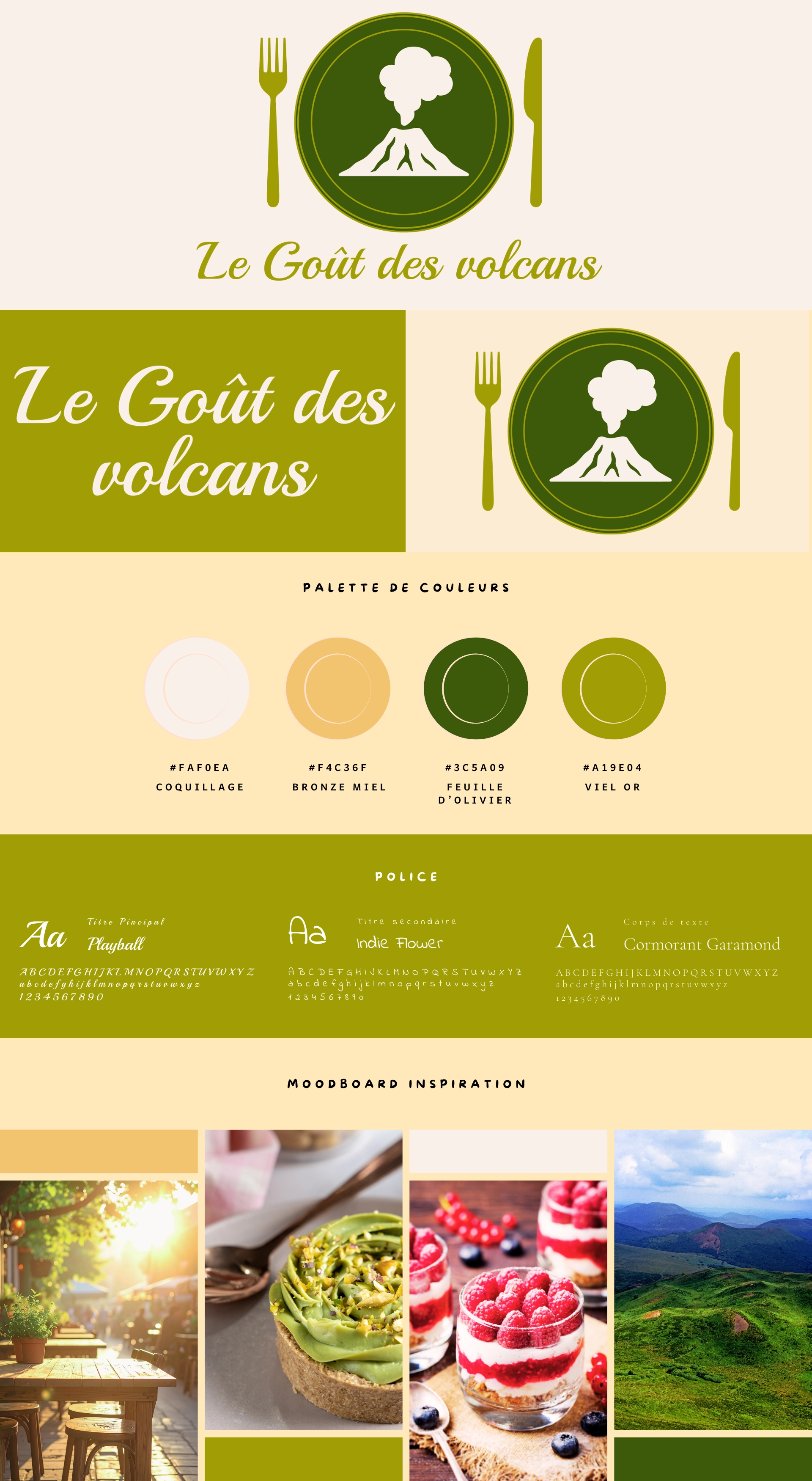 Brandboard identité visuelle Le goût des volcans