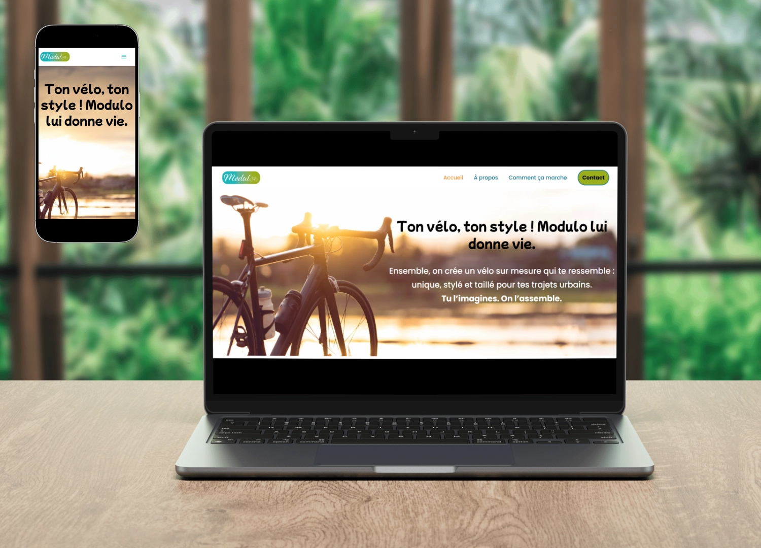 Visuel site desktop et mobile, Modulo